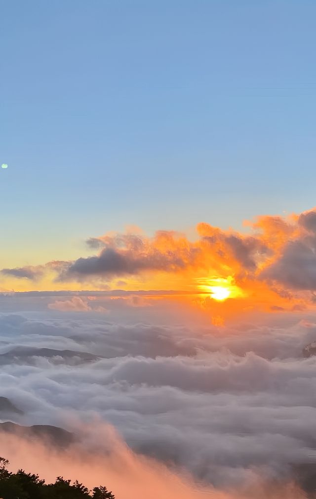 這裡不是川西 也可以看銀河看雲海。