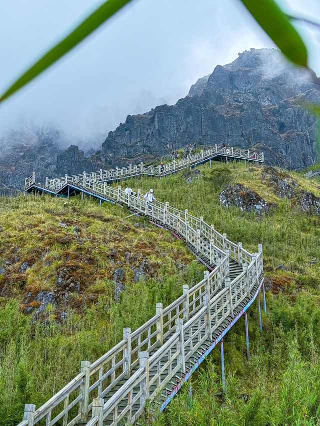 大牯山。