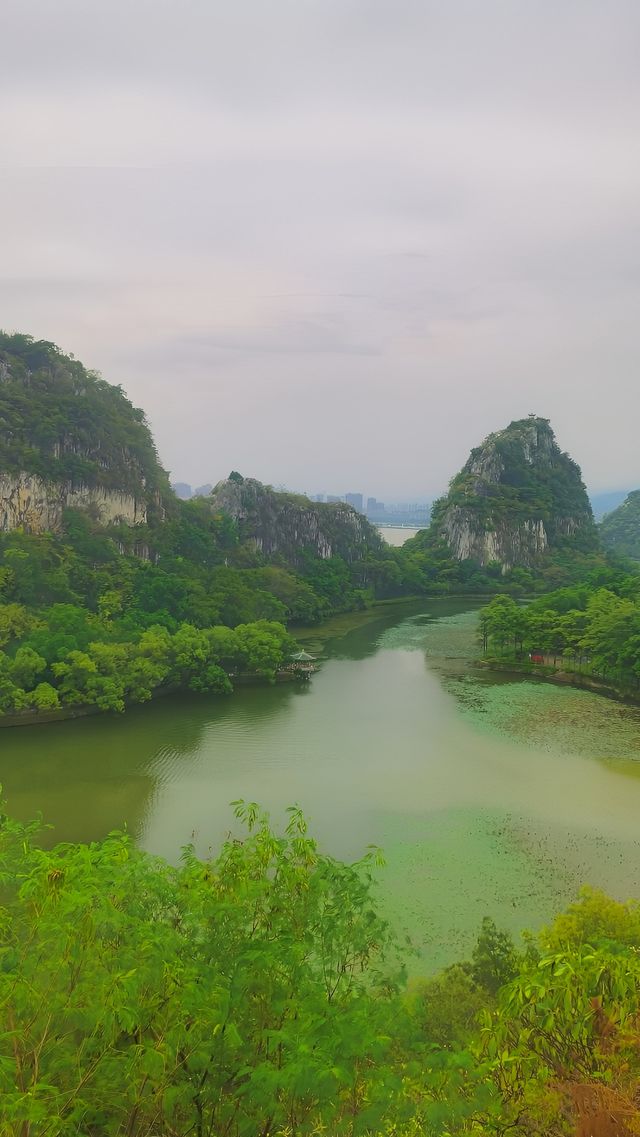 鼎湖山之美，究竟藏在哪些角落？。