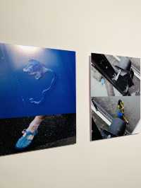 蘇河灣藝術季第二季，一起來蘇河皓司看展。