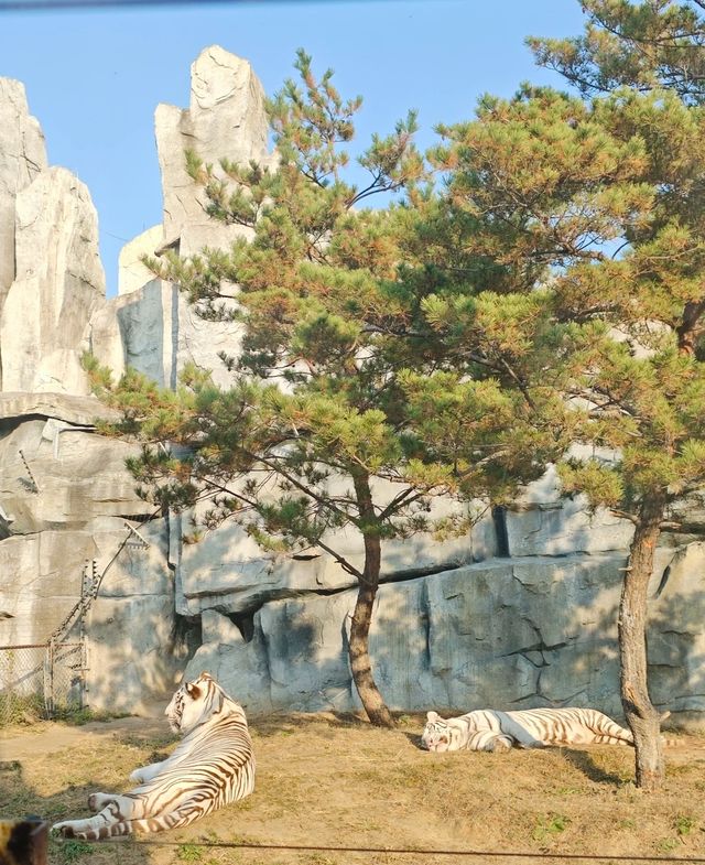 唐山！！一座讓我意想不到的城市！！。