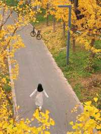 西安雁南公園——四季更迭，各有其美！
