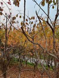 西安雁南公園|這裡的公園不一樣。
