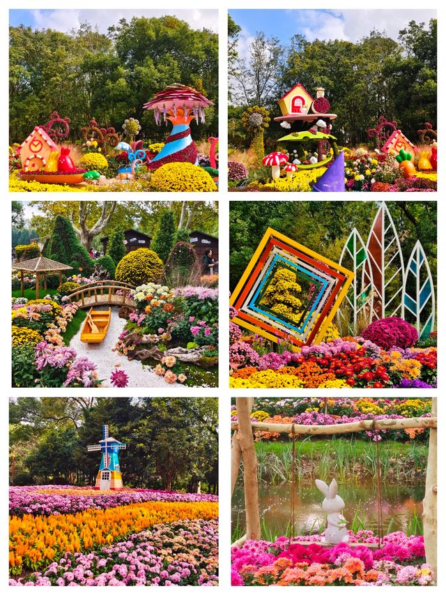 上海共青森林公園秋日攻略。
