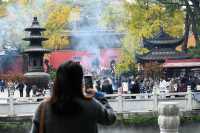 南京棲霞山紅楓觀賞攻略。