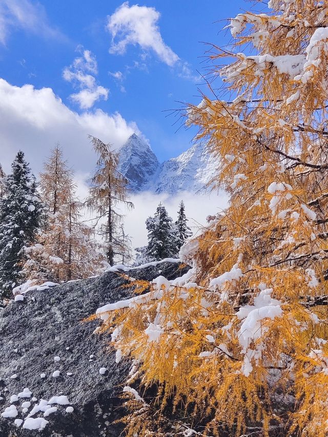 茂縣冬日遊4天行程 雪景美翻了