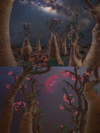 Real-life Zelda, the most alien-like island on Earth