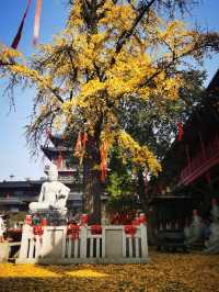 南京毗盧寺禪意秋色