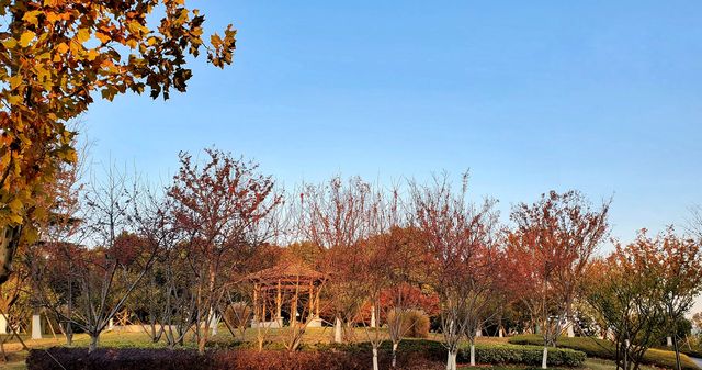 真的不想叫你來這裡｜梅隴生態公園