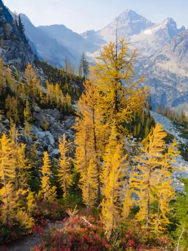 Seattle Christmas Fun Tour