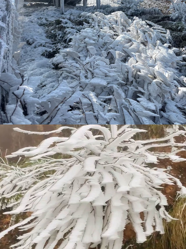 接下來的清遠雲冰山！堪稱廣東看雪天花板！