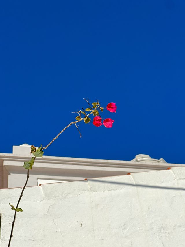 探索葡萄牙的陽光海岸阿爾布費拉（Albufeira）