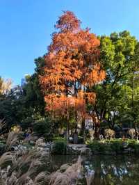 光啟公園,中國近代科學之源