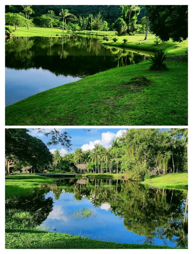 코타키나발루 가야 블루라군 리조트, 숨길 수 없는 즐거움의 보물섬!