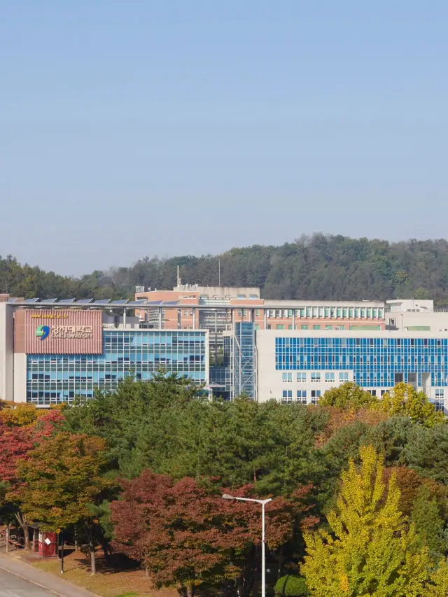 New experiences in Snow Town: Enjoy the snow and hot springs at the same time!