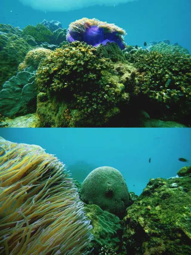 Explore the World: Scuba Diving in Phu Quoc Island