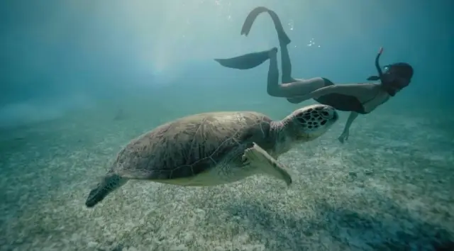 Diving on a Private Island in the Philippines