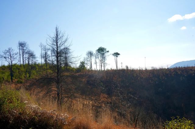 乘熱氣球 不用非去土耳其