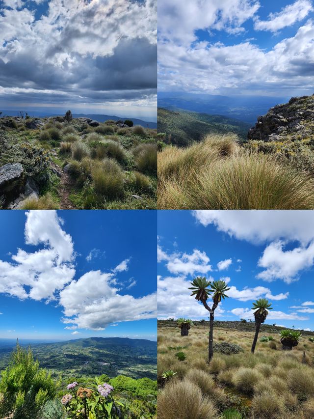 邂逅魯里梅里亞山，感受自然奇景