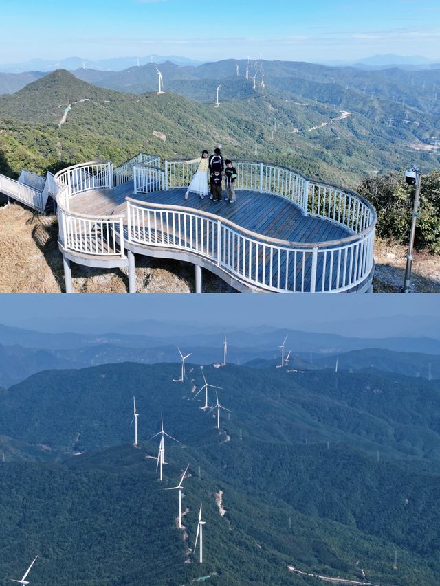 喺森波拉搵到北歐童話入口！紅杉林太浪漫喇