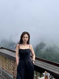 百色·1466露營地風景美是美，但是……
