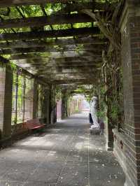 Discover Auckland's Domain Wintergardens: A Free Floral Escape