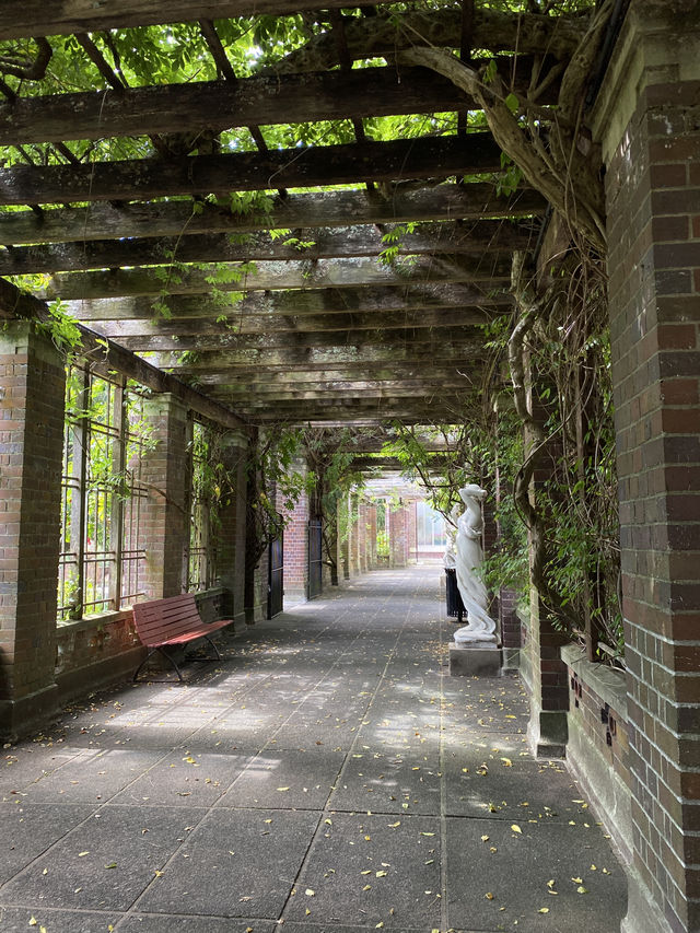 Discover Auckland's Domain Wintergardens: A Free Floral Escape