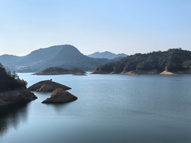 陸河南告水庫賞梅