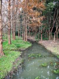 青西郊野公園