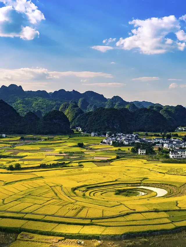 3-Day Itinerary for the Ancient Ginkgo Forest in Tuole, China