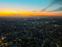 橫濱地標塔空中花園