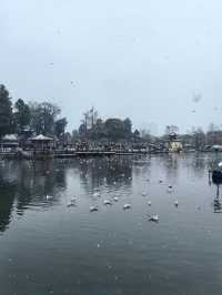 昆明大觀公園雪景如畫
