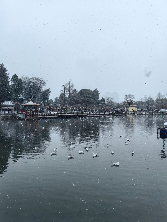 昆明大觀公園雪景如畫