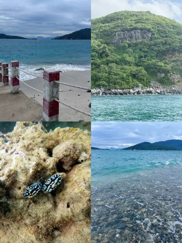 Diving in Nha Trang's Hon Mun Island is so much fun!