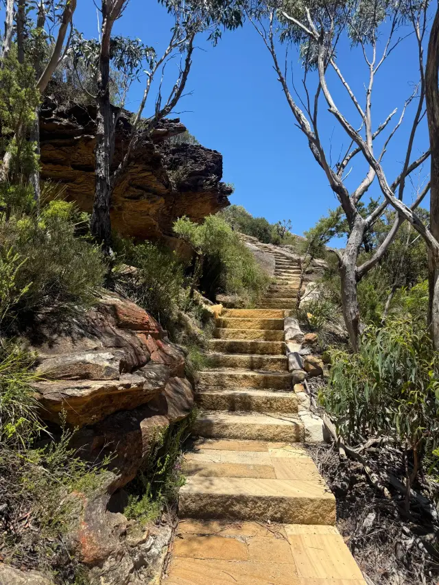 9-Day Family Trip to Australia: Fun for All Ages