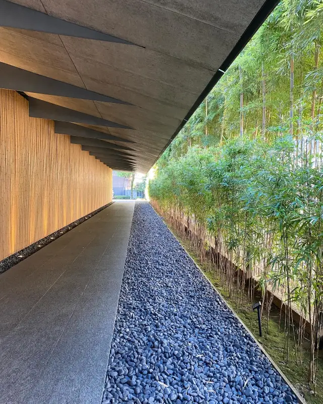 Tokyo's Hidden Gem: Nezu Museum