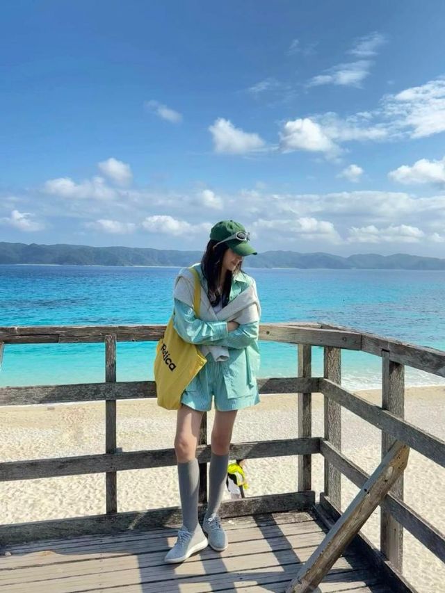 沖繩追鯨之旅