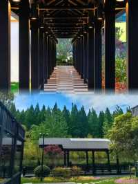 鹽城黃海森林花間亭·靜林 | 隱匿在綠野中的桃源