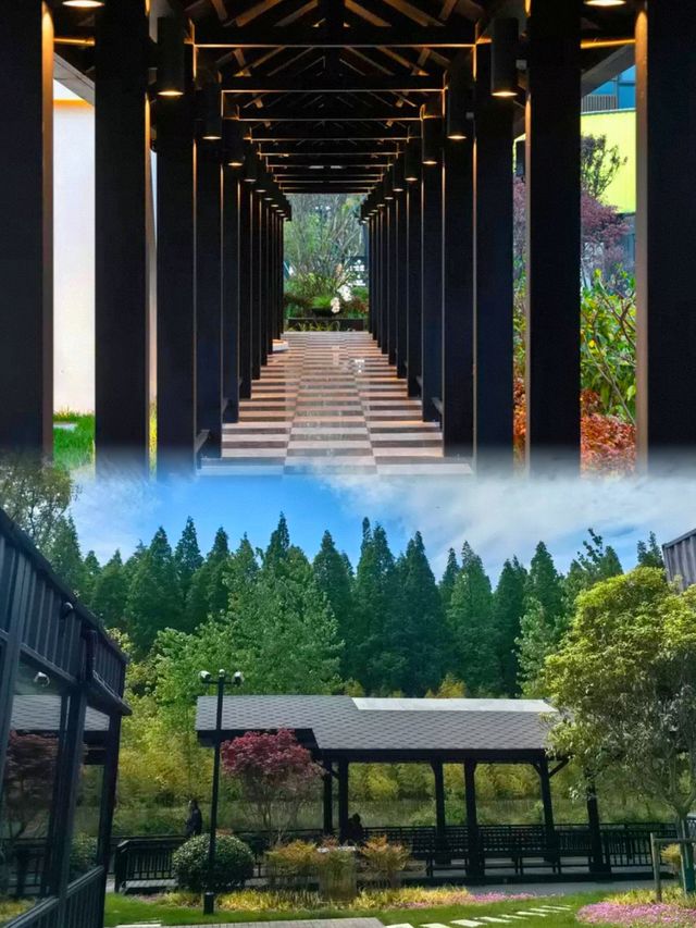 鹽城黃海森林花間亭·靜林 | 隱匿在綠野中的桃源
