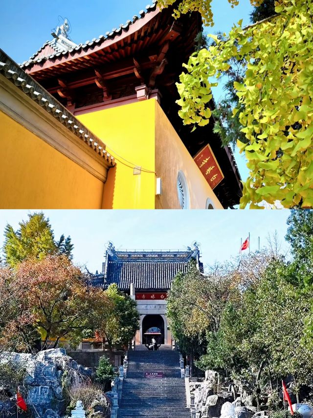 淮南已回，我的建議是…