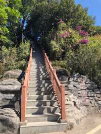 深圳登山-塘朗山（五）