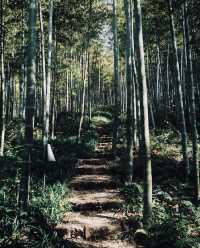 春節後安吉靈峰山