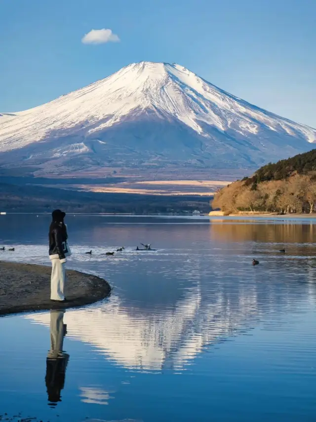 東京旅行全攻略