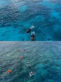 關島潛水：擁抱深海的藍色夢境