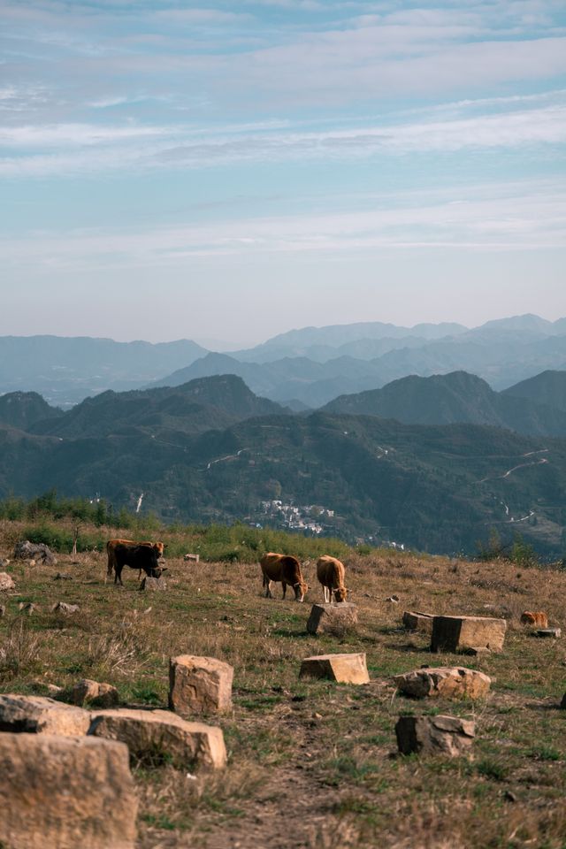 螺絲殼|邂逅綠野仙蹤般的夢幻之地