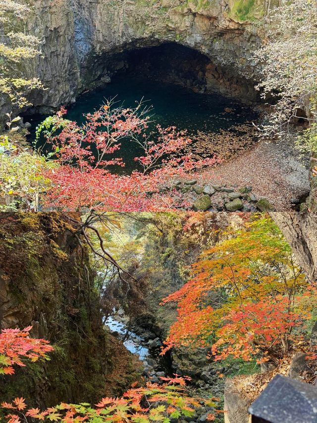 韓國抱川 | 探尋小眾寶藏旅行地