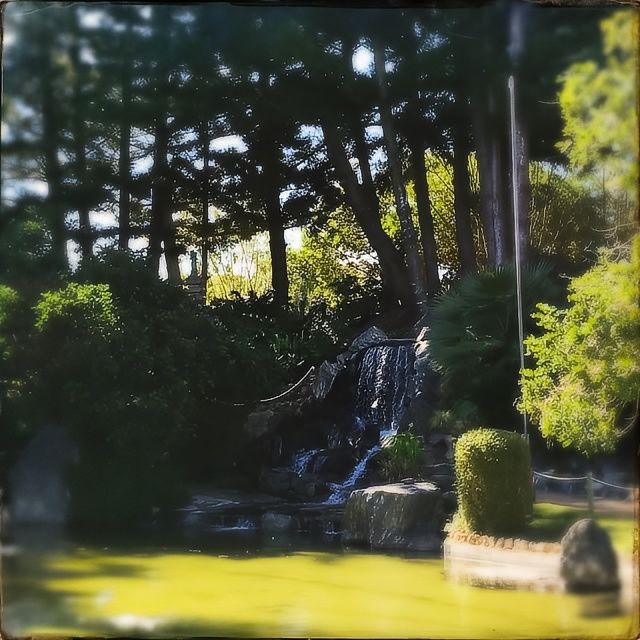 澳洲洛克咸頓植物園：大自然的綠色天堂 