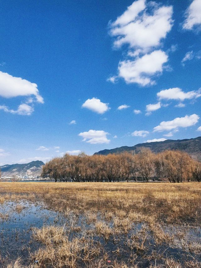 嗨，宣威人自己的蒼山洱海，美得冒泡哇