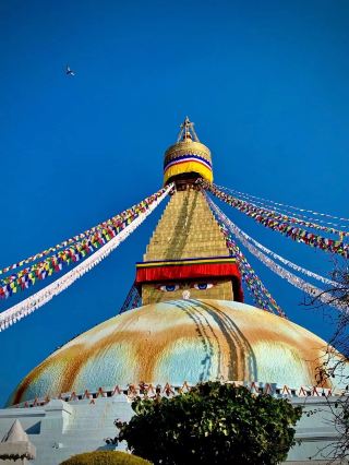 Explore the Nepalese Forests During Winter Break and Enjoy a Natural Oxygen Bar