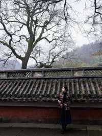 以為雨天的靈隱寺已經夠美了，直到去了這裡